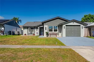 12423 Mondragon Dr, Tampa, FL 33625 - Photo 1
