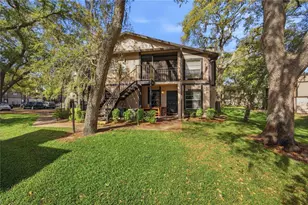 4022 Tumble Wood Trl, Tampa, FL 33613 - Photo 1