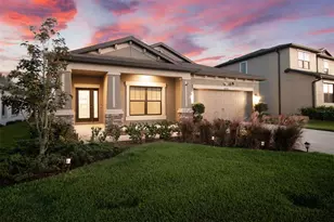 30950 Parrot Reef Ct, Wesley Chapel, FL 33545 - Photo 1