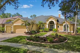 21227 Sky Vista Dr, Land O Lakes, FL 34637 - Photo 1