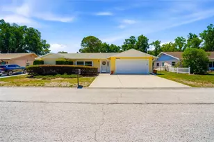 26916 Magnolia Blvd, Lutz, FL 33559 - Photo 1