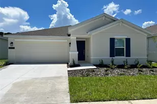 34000 Sky Blossom Cir, Leesburg, FL 34788 - Photo 1
