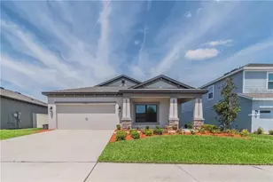 30927 Parrot Reef Ct, Wesley Chapel, FL 33545 - Photo 1