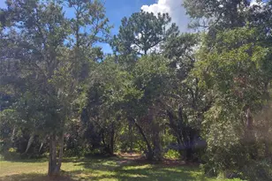 0 Finally Rd, Plant City, FL 33565 - Photo 1