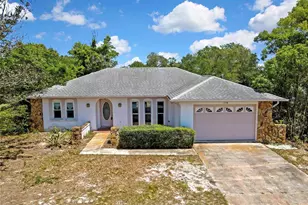 338 Killinger Ave, Spring Hill, FL 34606 - Photo 1