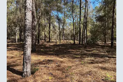 Lot 23 SW 181st Cir, Dunnellon, FL 34432 - Photo 1