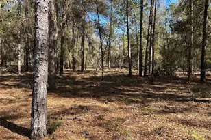 Lot 23 SW 181st Circle, Dunnellon, FL 34432 - Photo 1