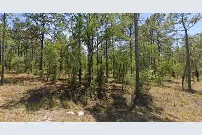 0000 NW Geranium Avenue, Dunnellon, FL 34431 - Photo 1