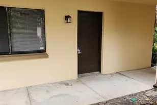 11809 Raintree Lake Ln, Tampa, FL 33617 - Photo 1