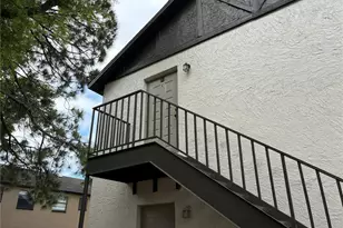 5101 S Clarice Ct, Tampa, FL 33611 - Photo 1