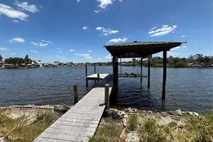 9922 Alavista Dr, Gibsonton, FL 33534 - Photo 1
