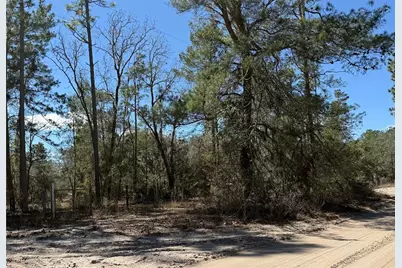 10650 NE 210th Street, Fort Mc Coy, FL 32134 - Photo 1