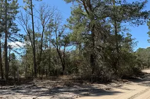 10650 NE 210th St, Fort Mc Coy, FL 32134 - Photo 1