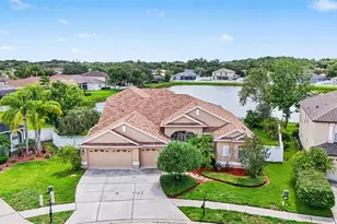 4830 Artesian Rd, Land O Lakes, FL 34638 - Photo 1