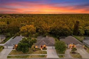 18543 Bittern Ave, Lutz, FL 33558 - Photo 1