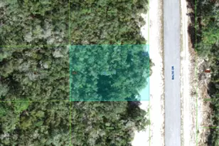 1238 Baltic Dr, Kissimmee, FL 34759 - Photo 1