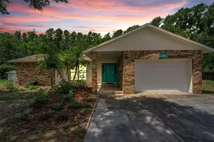 21823 Shamu Dr, Land O Lakes, FL 34639 - Photo 1