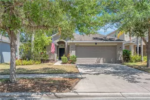 10510 Summer Azure Dr, Riverview, FL 33578 - Photo 1