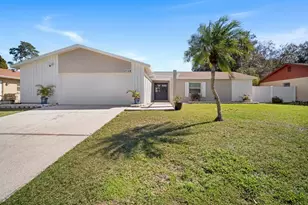 3708 Greenford St, Valrico, FL 33596 - Photo 1