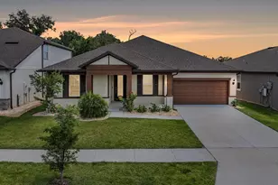 9405 Ibis Grove Blvd, Wesley Chapel, FL 33545 - Photo 1