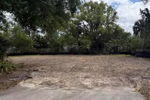 1704 W St Conrad St, Tampa, FL 33607 - Photo 1