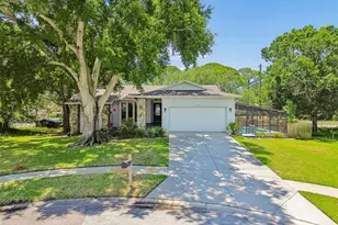 1421 Ironworks Ln, Tarpon Springs, FL 34689 - Photo 1