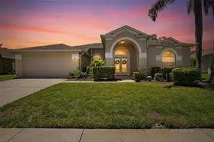 22118 Yachtclub Terrace, Land O Lakes, FL 34639 - Photo 1