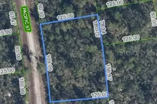 719 Pacific St, Lake Placid, FL 33852 - Photo 1