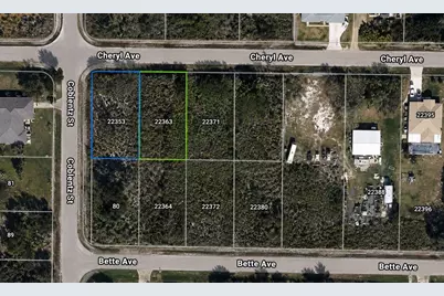 22353 Cheryl Avenue, Port Charlotte, FL 33954 - Photo 1