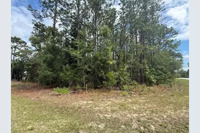 7103 N Hemmingway Drive, Dunnellon, FL 34434 - Photo 1