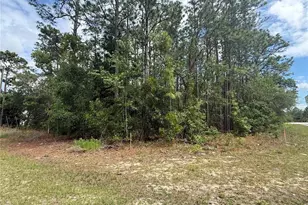 7103 N Hemmingway Dr, Dunnellon, FL 34434 - Photo 1