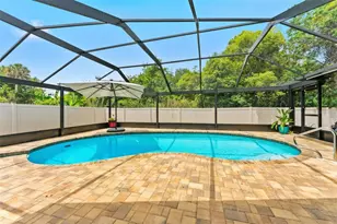 1138 Pelican Pl, Safety Harbor, FL 34695 - Photo 1