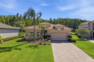 30852 Spruceberry Ct, Wesley Chapel, FL 33543 - Photo 1