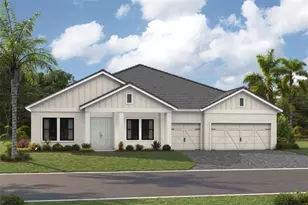 35653 Big Hawk Dr, Zephyrhills, FL 33541 - Photo 1
