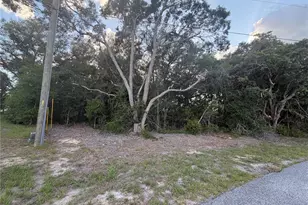 Lot 4, Ocala, FL 34473 - Photo 1