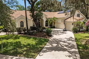 2528 Centennial Falcon Dr, Valrico, FL 33596 - Photo 1