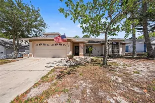 803 High Point Ct, Tarpon Springs, FL 34689 - Photo 1