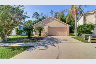 30316 Double Drive, Wesley Chapel, FL 33545 - Photo 1