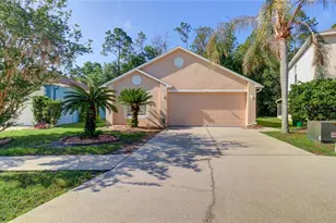 30316 Double Dr, Wesley Chapel, FL 33545 - Photo 1
