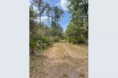 E Hwy 318, Citra, FL 32113 - Photo 1