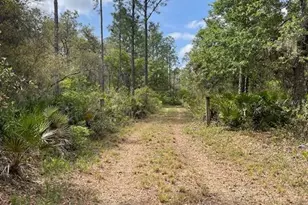 E Hwy 318, Citra, FL 32113 - Photo 1