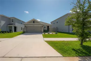 17042 Oval Rum Dr, Wimauma, FL 33598 - Photo 1
