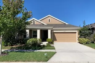 6234 Colmar Pl, Apollo Beach, FL 33572 - Photo 1