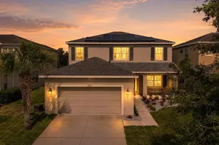 7223 Blue Beech Dr, Riverview, FL 33578 - Photo 1