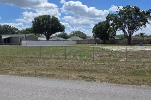 26910 Foamflower Blvd, Wesley Chapel, FL 33544 - Photo 1