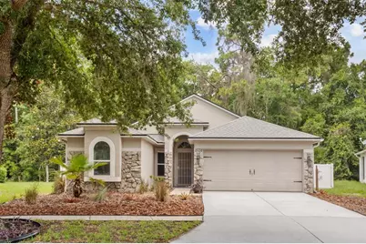 15738 Cedar Elm Terrace, Land O Lakes, FL 34638 - Photo 1