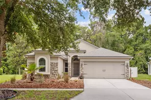 15738 Cedar Elm Terrace, Land O Lakes, FL 34638 - Photo 1