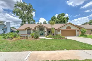 3816 Buckingham Loop Dr, Valrico, FL 33594 - Photo 1