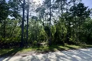 Macek Rd, Weeki Wachee, FL 34614 - Photo 1