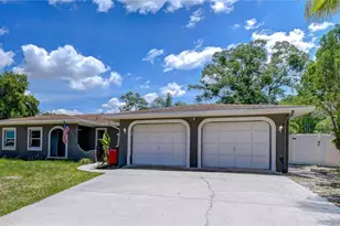 1291 Raleigh Ct, Tarpon Springs, FL 34689 - Photo 1